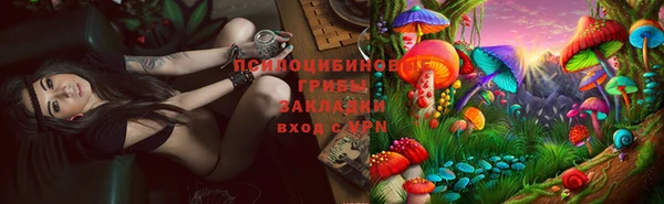 МДПВ Алексеевка