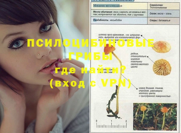спиды Михайлов